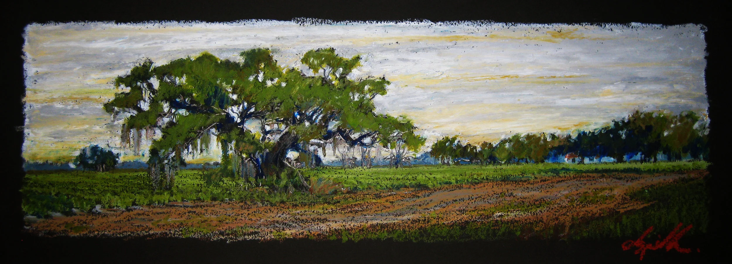 Catohoula New Cane 9 x 24 inches.jpg