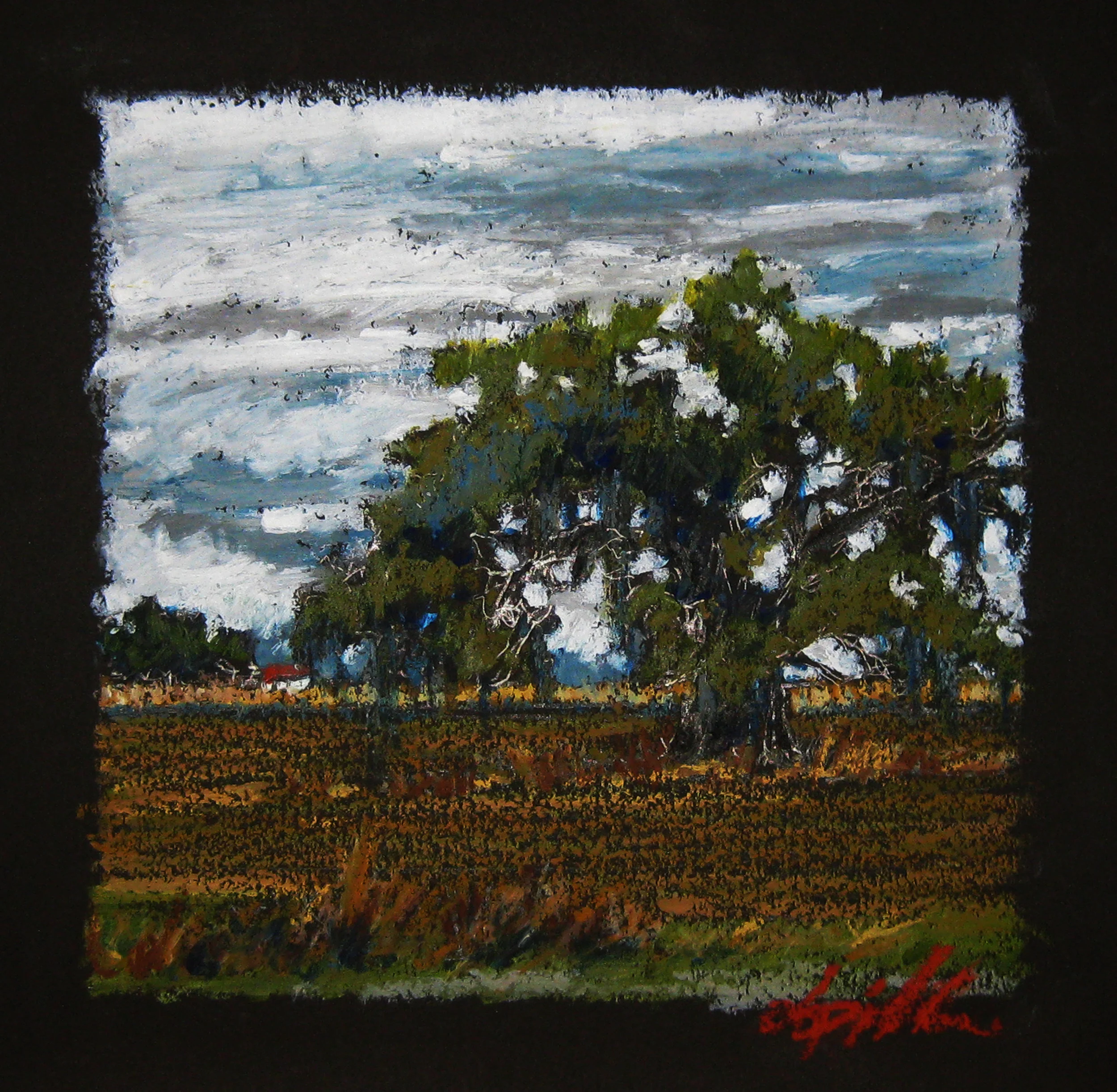 Lone Oak 2 10 x 10 inches.jpg