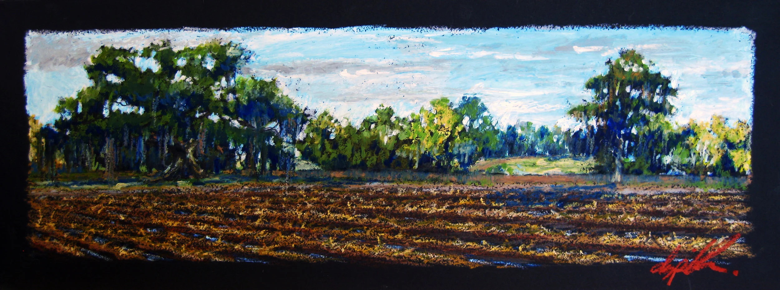Cane Field on Bayou Teche 9 x 24 inches.jpg