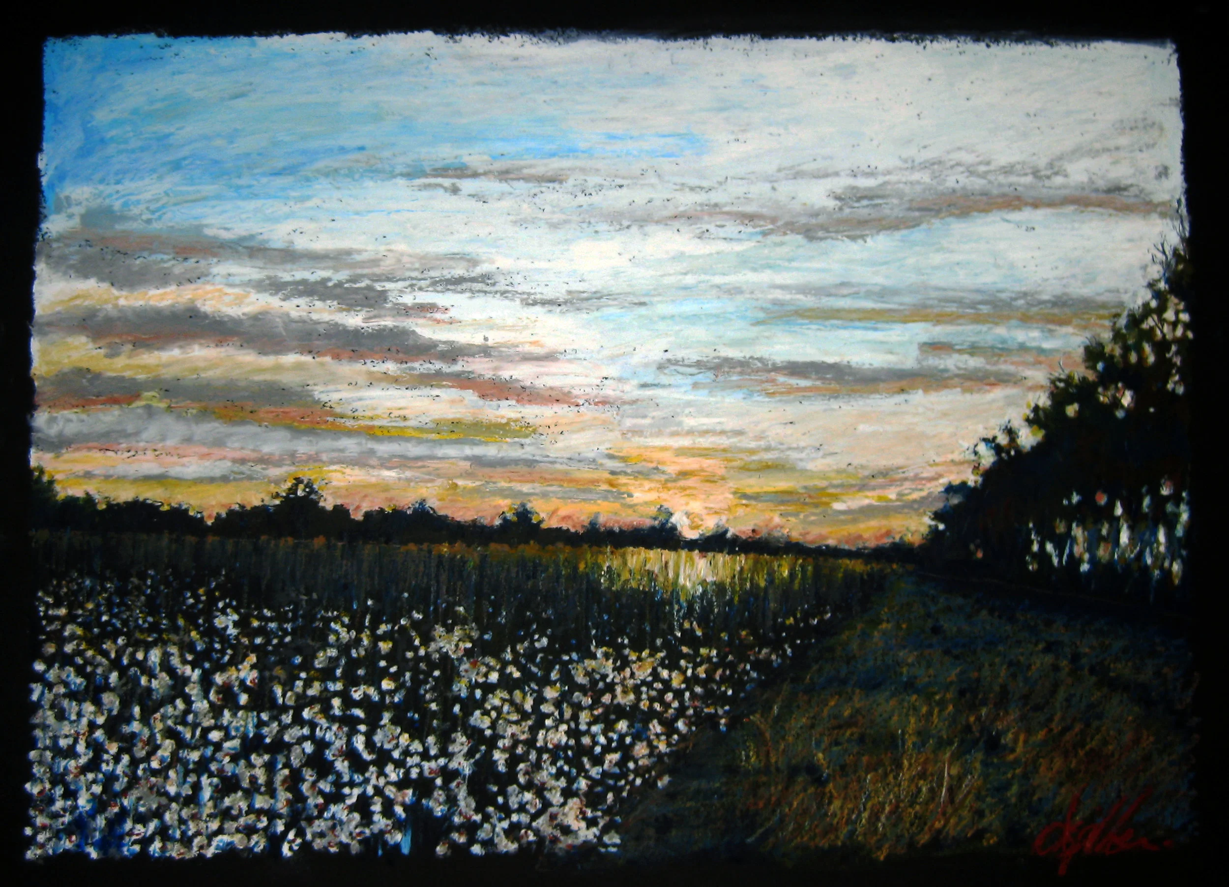 Cotton Sunset 18 x 24 inches.jpg