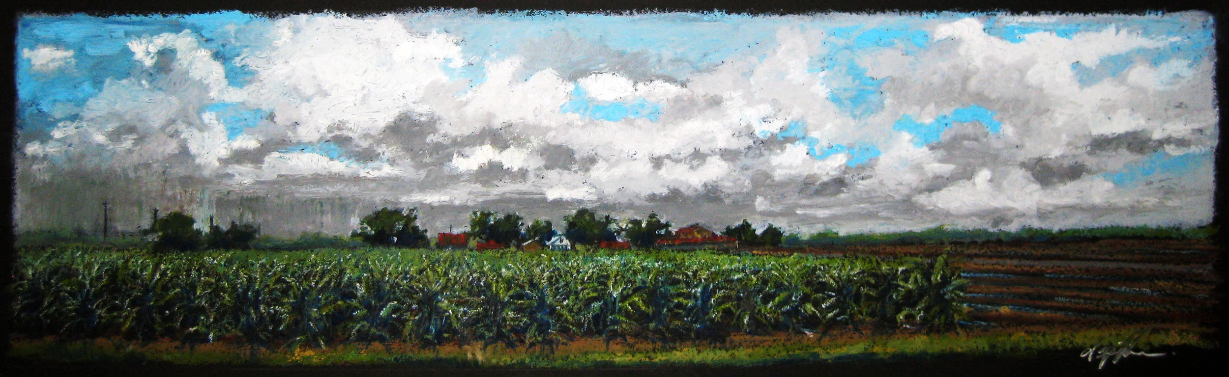 Pending Storm 8 x 24 inches.jpg