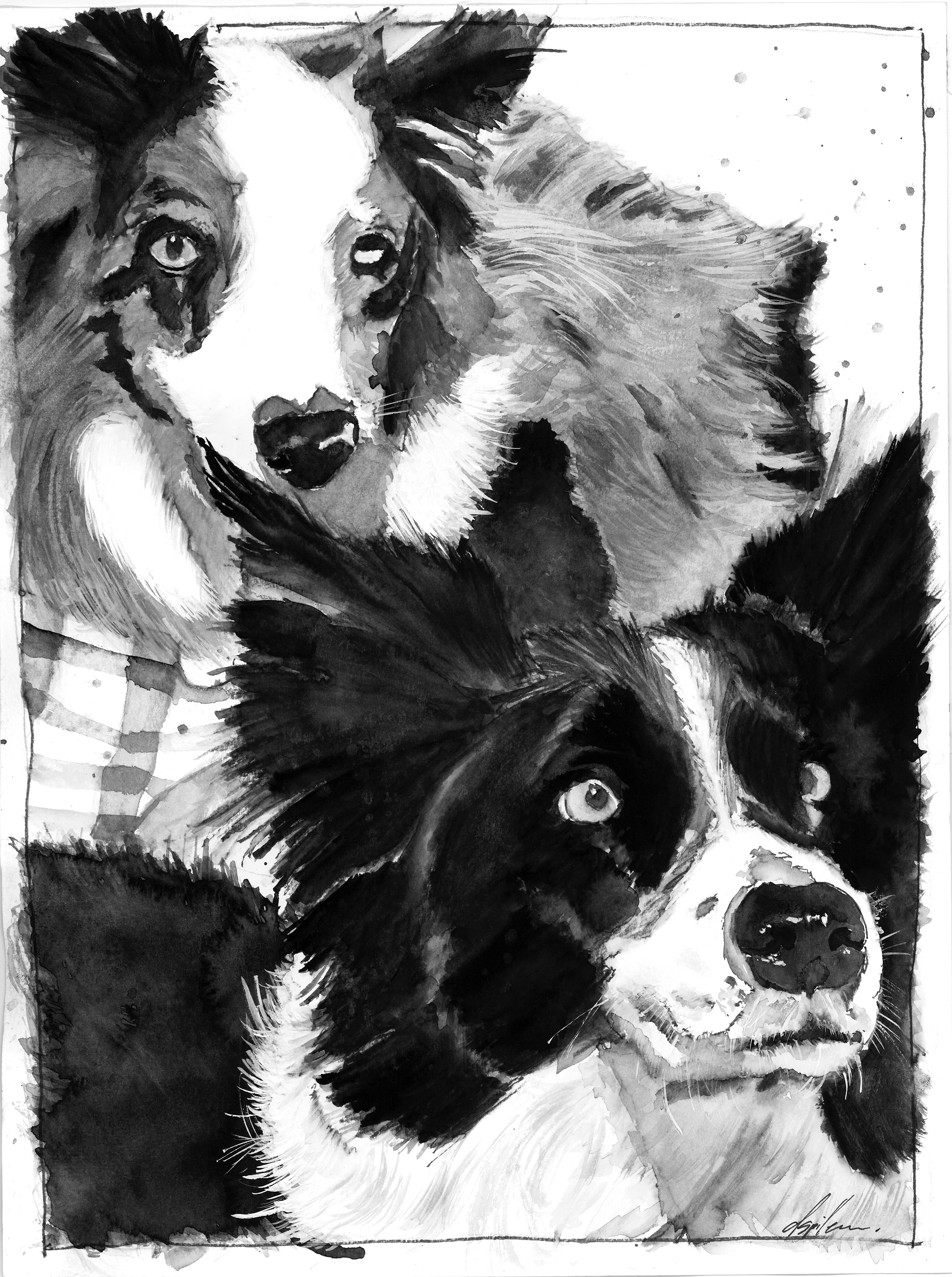 2 dogs.jpg