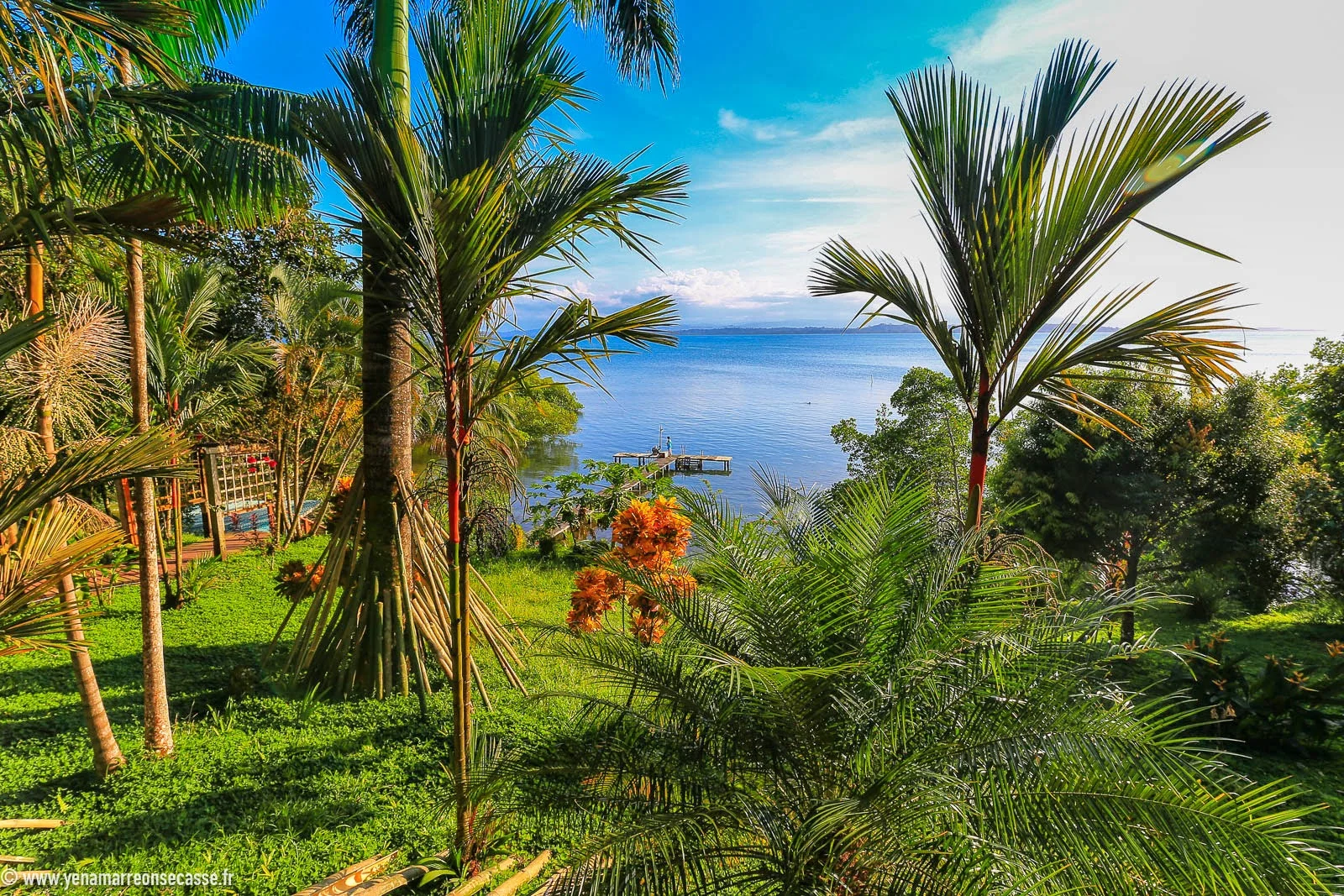 panama_bocas_del_toro-0921.jpg