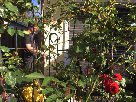 Artsy photo of Jonathan watering the hydrangeas.