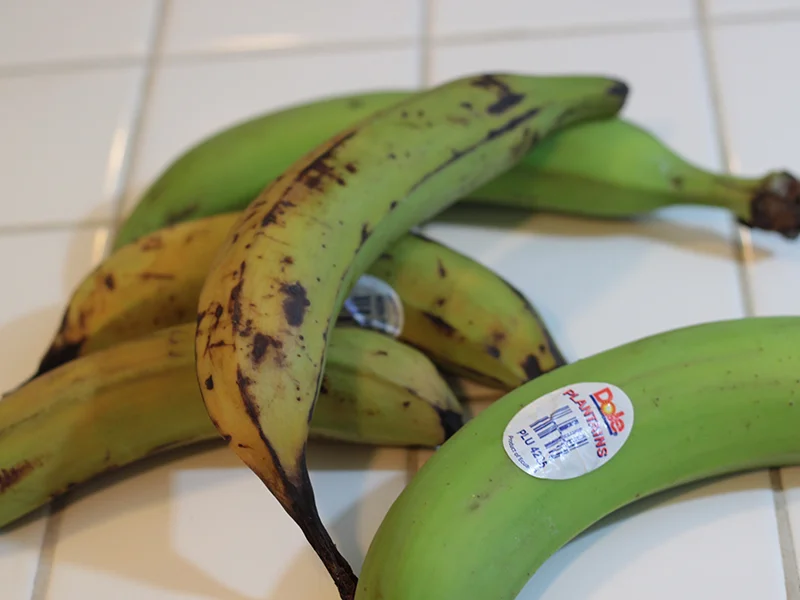 My Big Fat Cuban Family Plantains
