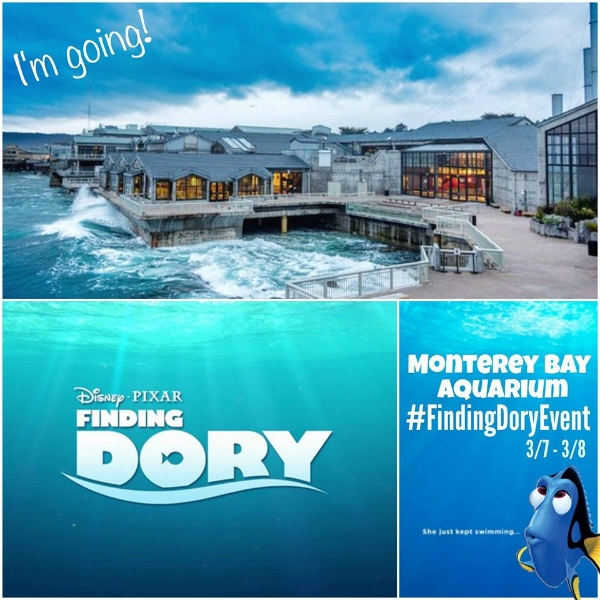 My Big Fat Cuban Family - Disney/Pixar Finding Dory