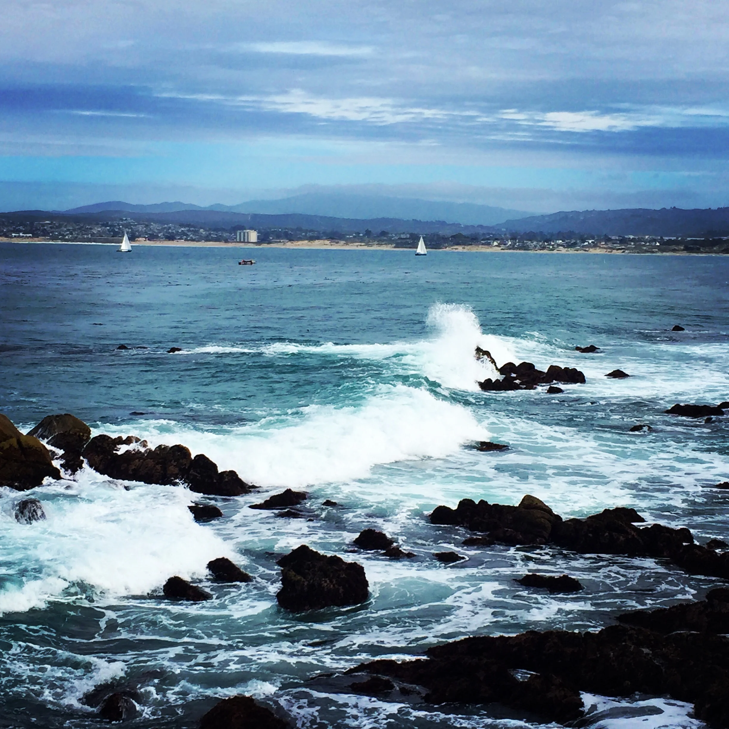 Monterey Bay. photo: M.Darby