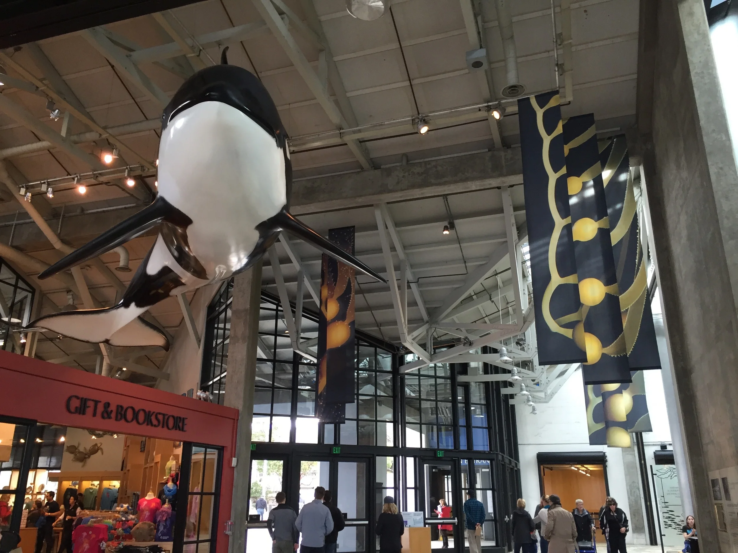 The beautiful Monterey Bay Aquarium. Photo:M. Darby