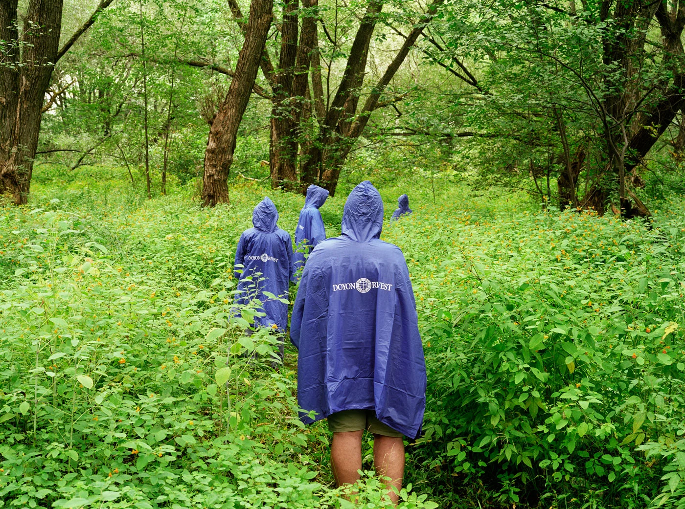 Thanks for being there (ponchos)