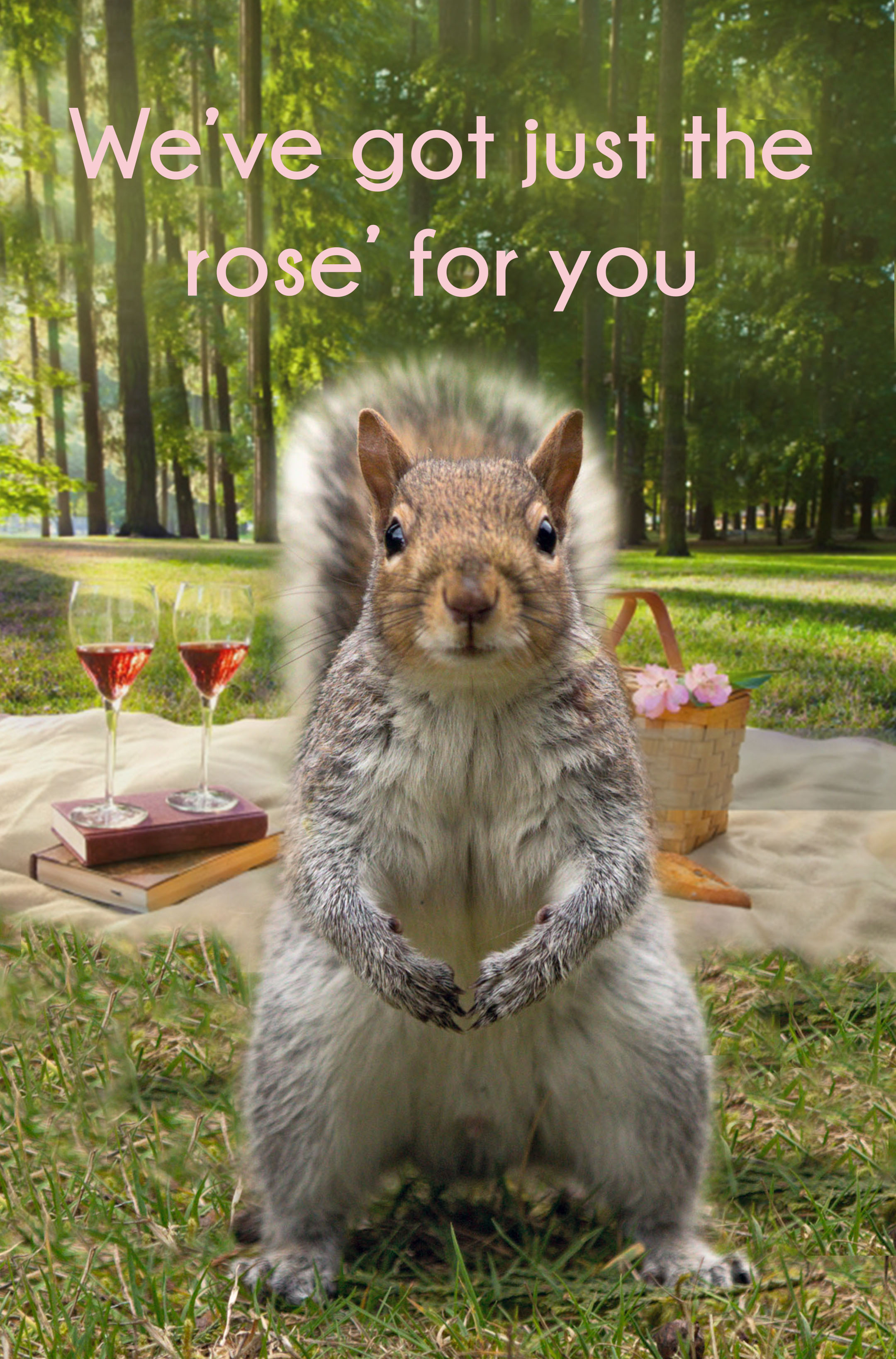 squirrel2.jpg