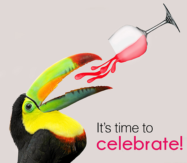 CarynCasttoucan1.jpg
