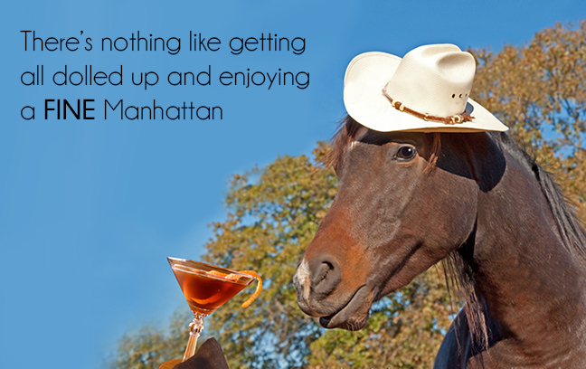 CarynCasthorse1.jpg