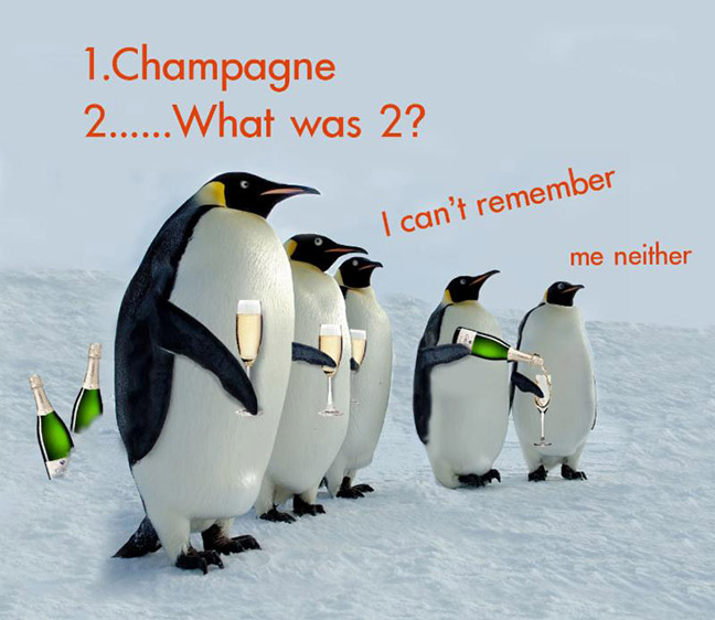 CarynCastpenguin2.jpg