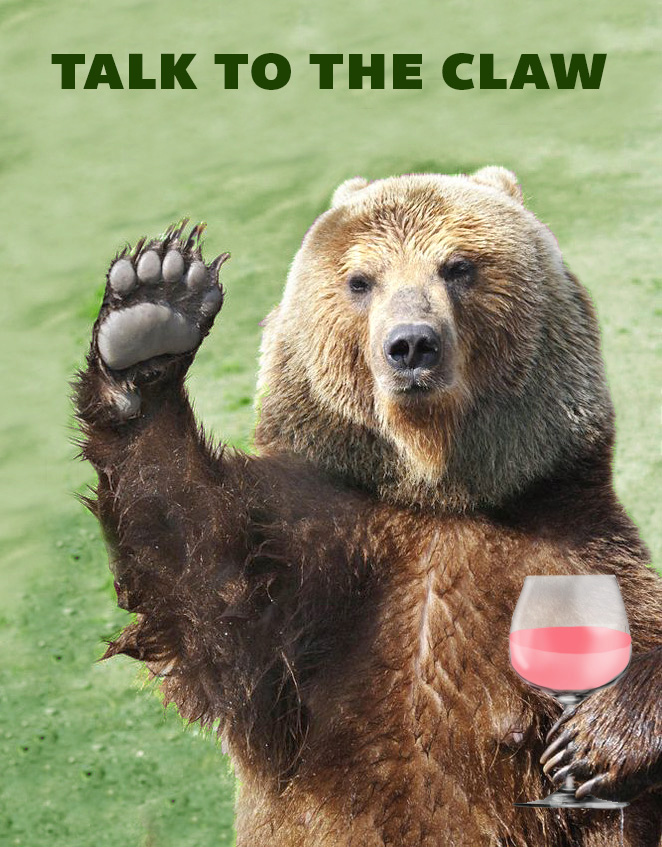 CarynCastgrizzlebear3.jpg