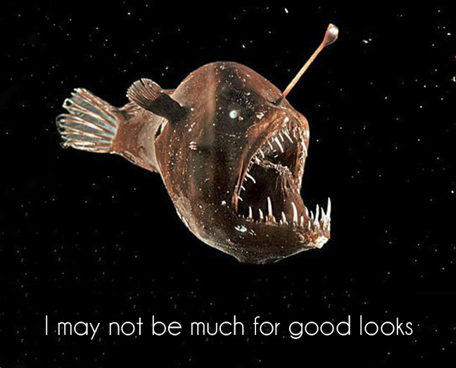 caryncastdeepsea1.jpg