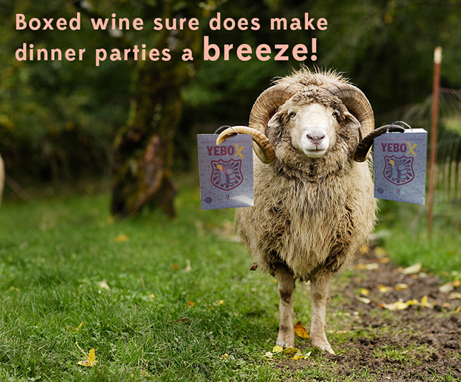 CarynCastboxedwine1.jpg