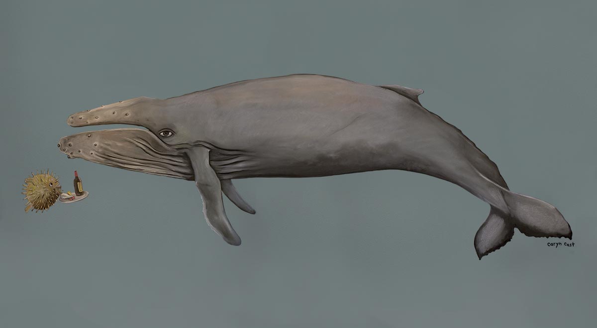 Polly The Wine-Drinking Whale