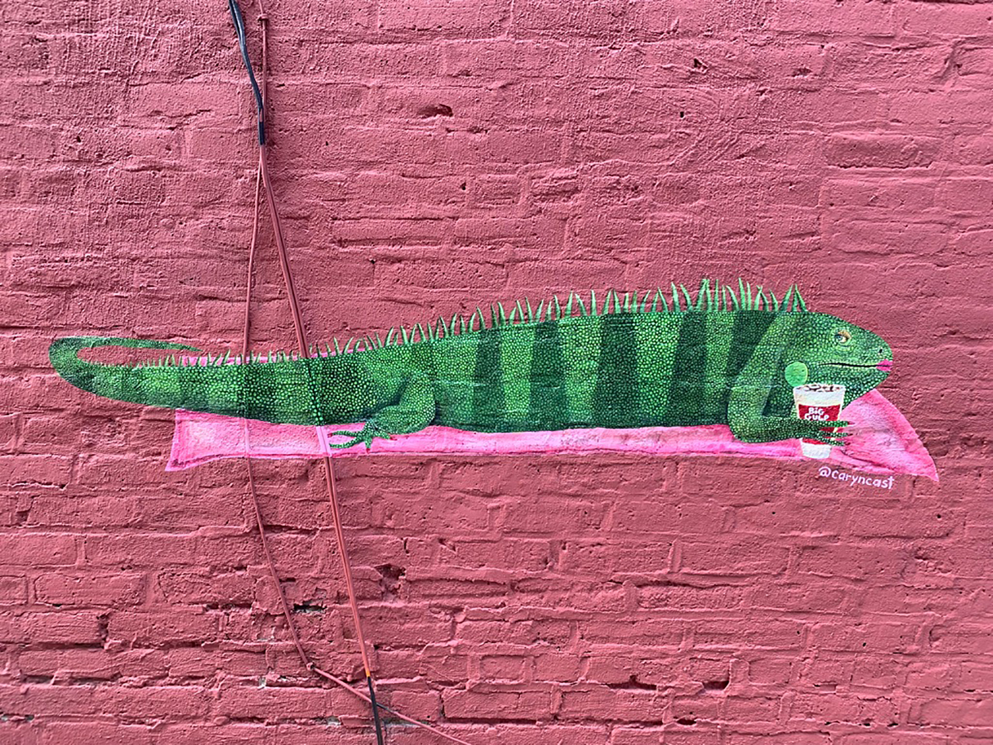 Ingrid the Iguana