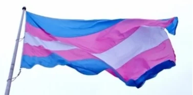 trans+and+pride+flag+side+by+side.jpg