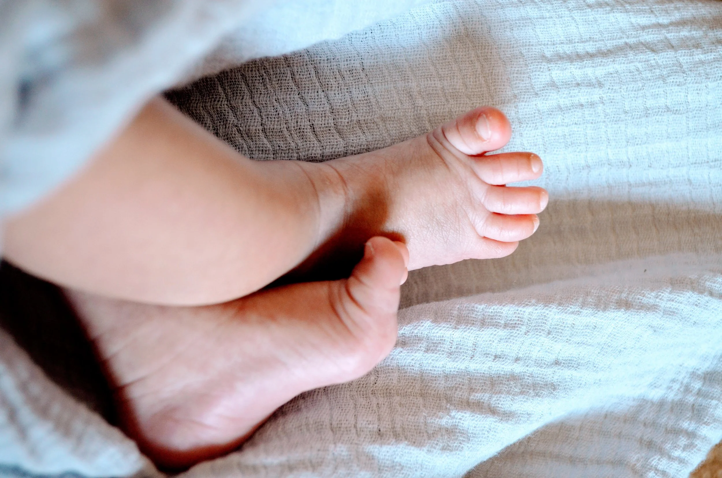 Baby Feet