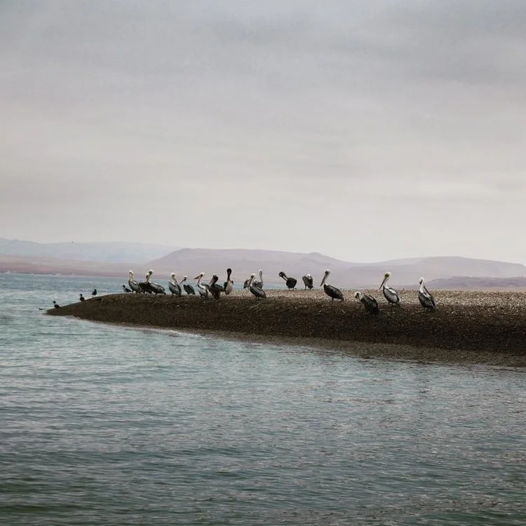 paracas 1.jpg