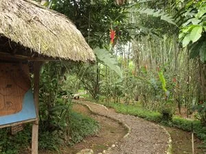 jungle-thumb-300x2251.jpg