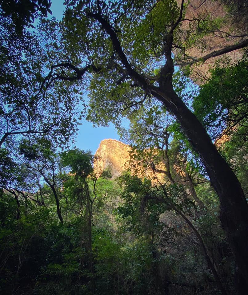  El objetivo: El cerro del Tepozteco, some 600 meters above the valley. 