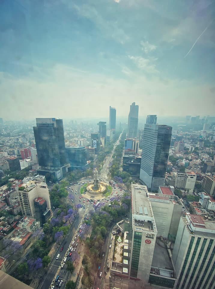  Ángel de la Independencia on Reforma. 