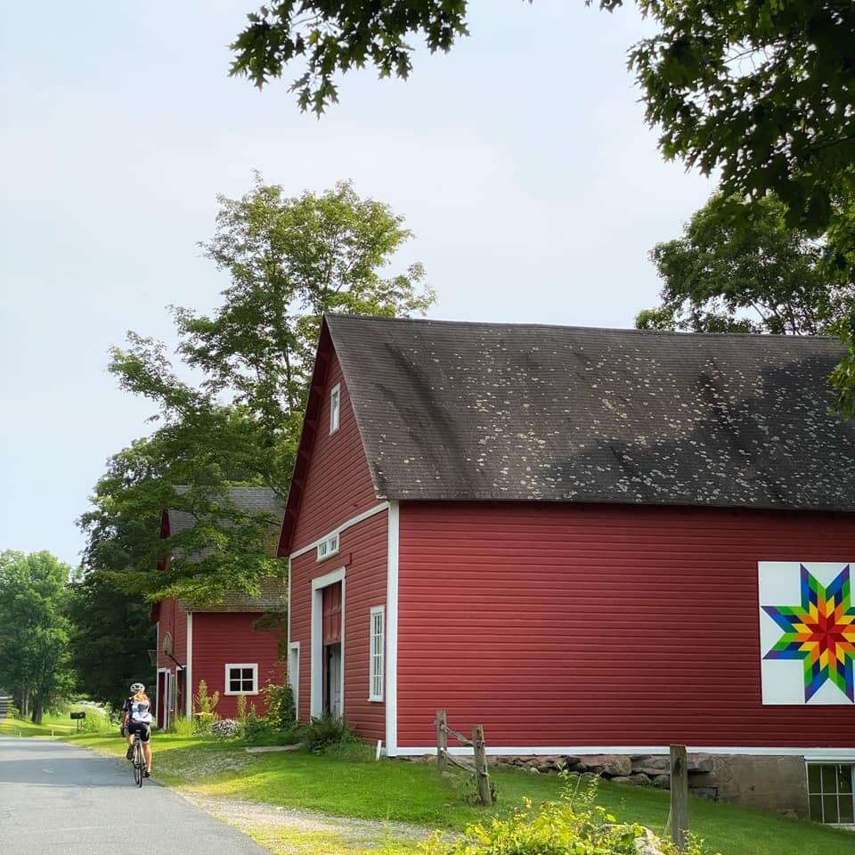  So many red barns 