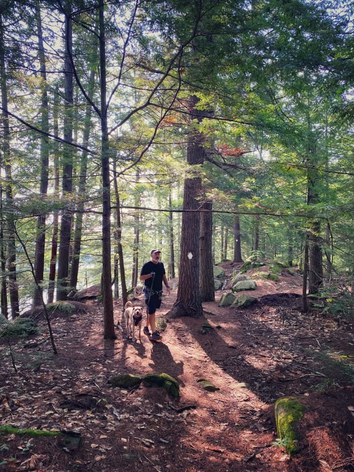  The hike around Knights Pond was a delight 