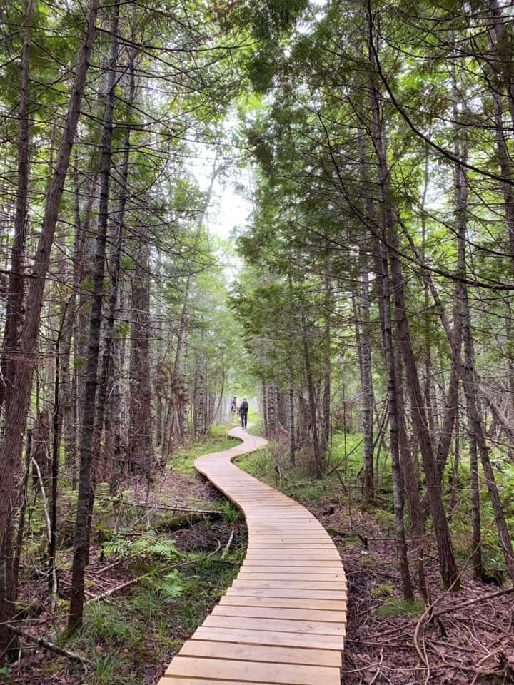  Great trails and wooden sculptures at Shepard’s Farm Preserve, in Norway, Maine. 