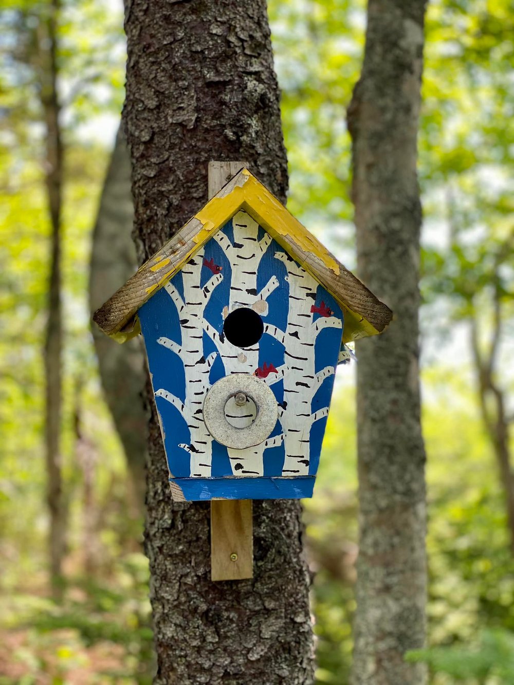  Arty birdhouse at Petit Bois, on the grounds of the Université Sainte-Anne Campus, the only French-language university in Nova Scotia. 