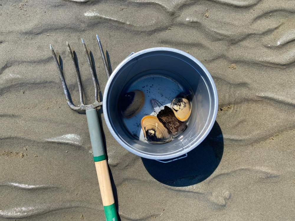  Clamming fork and bucket. 