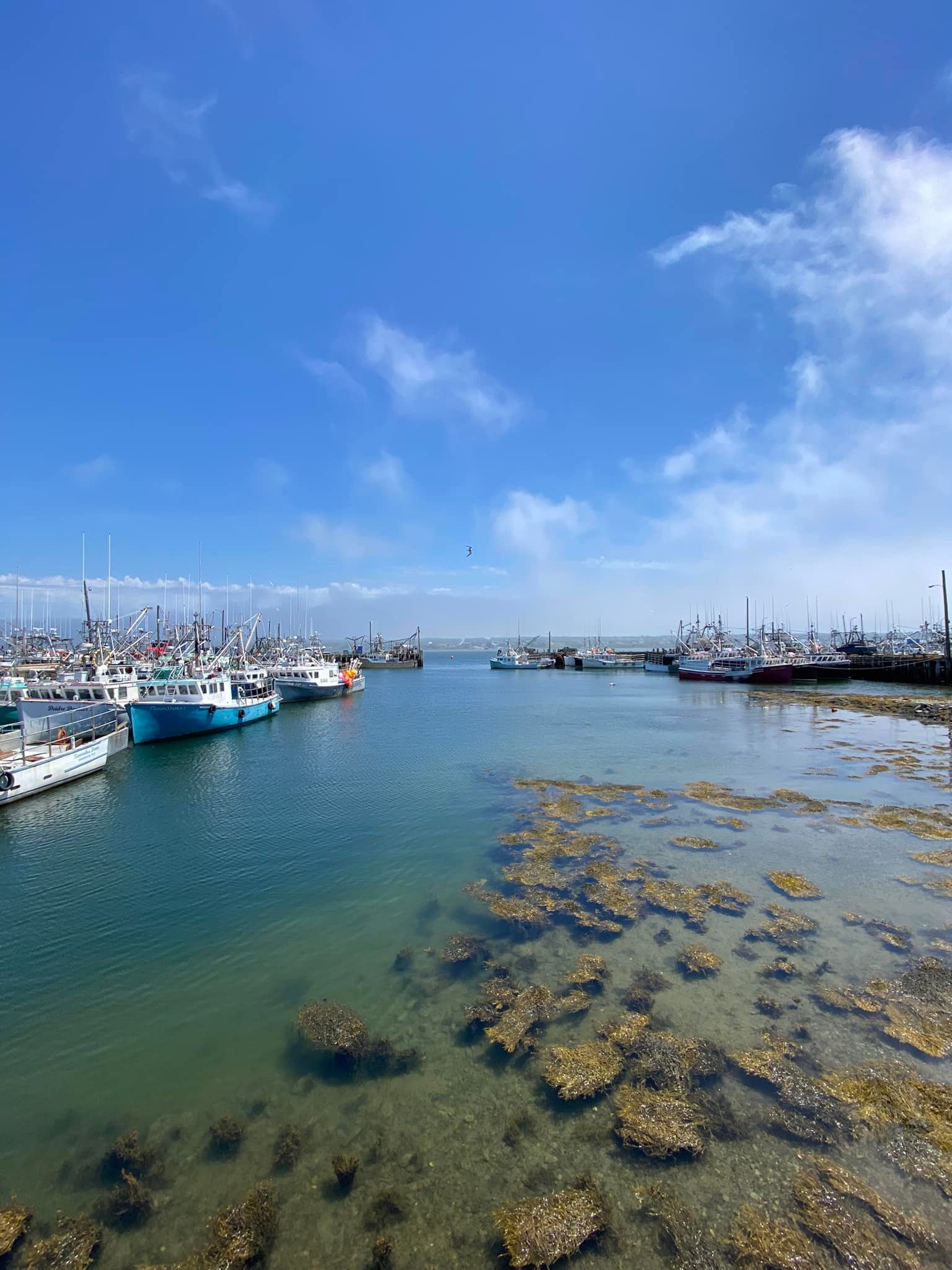  Dennis Point Wharf is one of the largest commercial fishing wharves in Canada. 