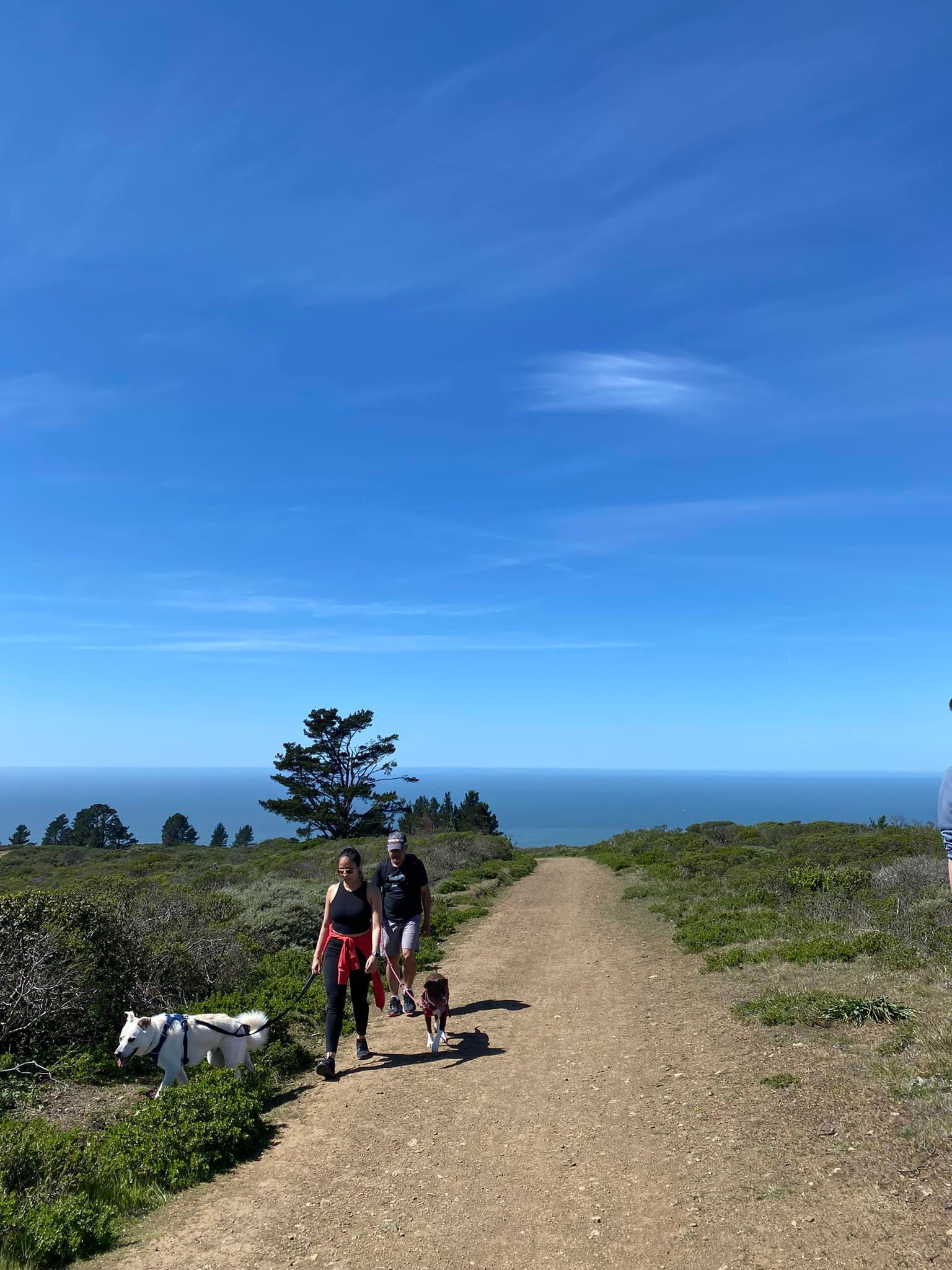  Sweeney Ridge Trail, near Pacifica. That’s the Pacific Ocean back there. 