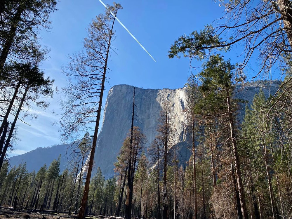  El Cap: Three thousand vertical feet of sheer granite sculpted by glaciers. 