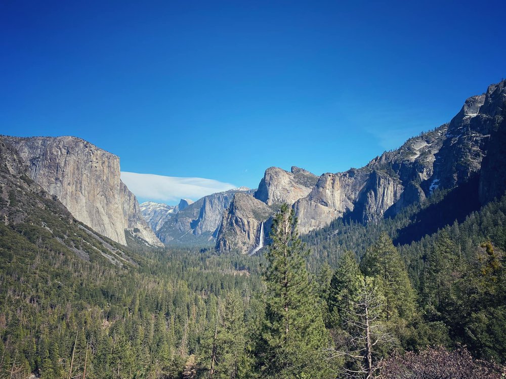  Money shot: the iconic view of the valley, with the famed granite monoliths of El Capitan (left) and Half Dome (peeking out in the background). 