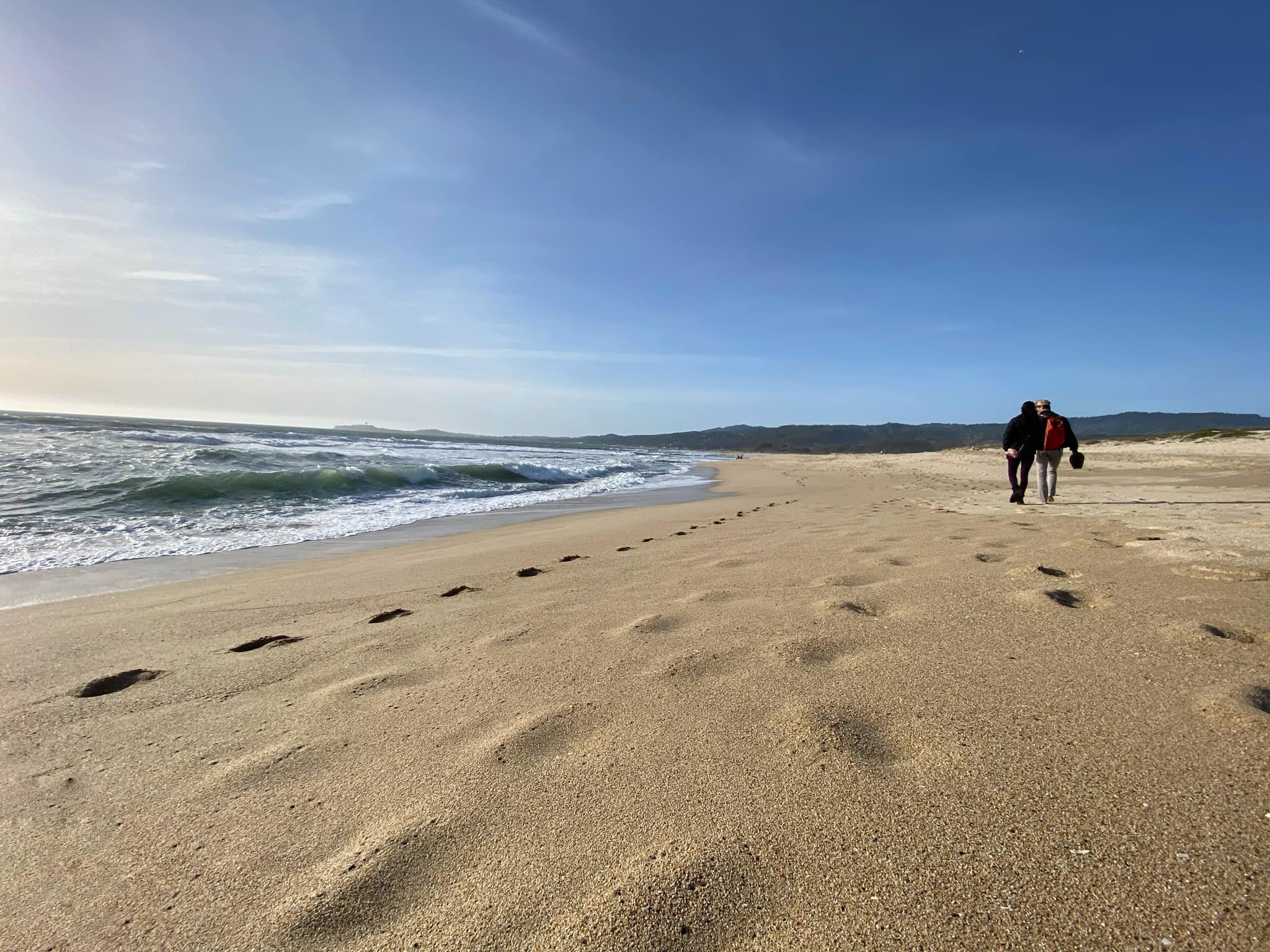  Francis Beach at Half Moon Bay State Beach. 