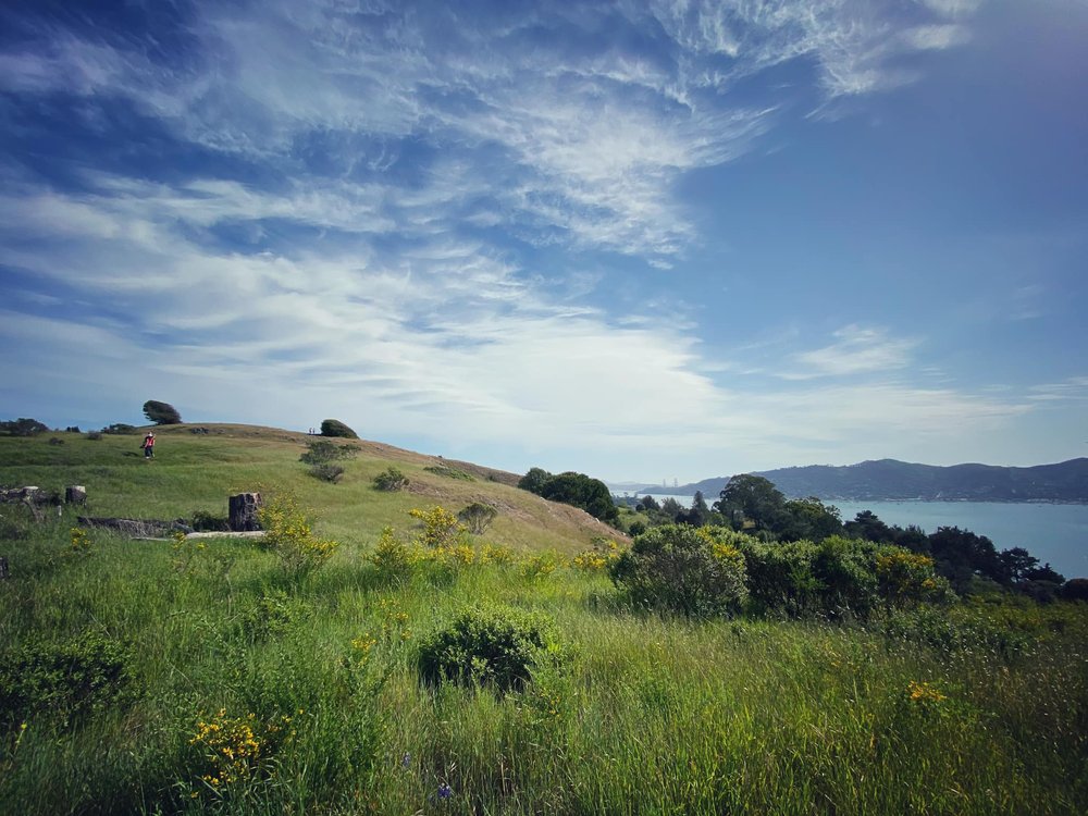  Tiburon is characterized by its dedicated open spaces, purchased and protected by community residents and environmentalists who continue to try to preserve its last large tract of private undeveloped land. 