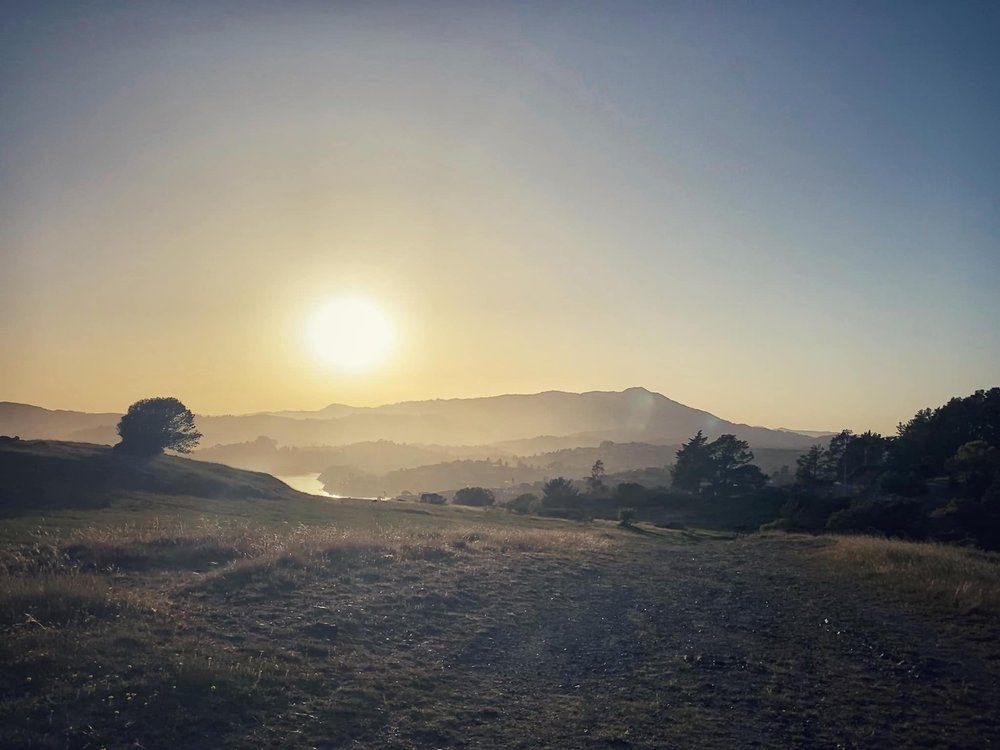  Profile of Mount Tam. 