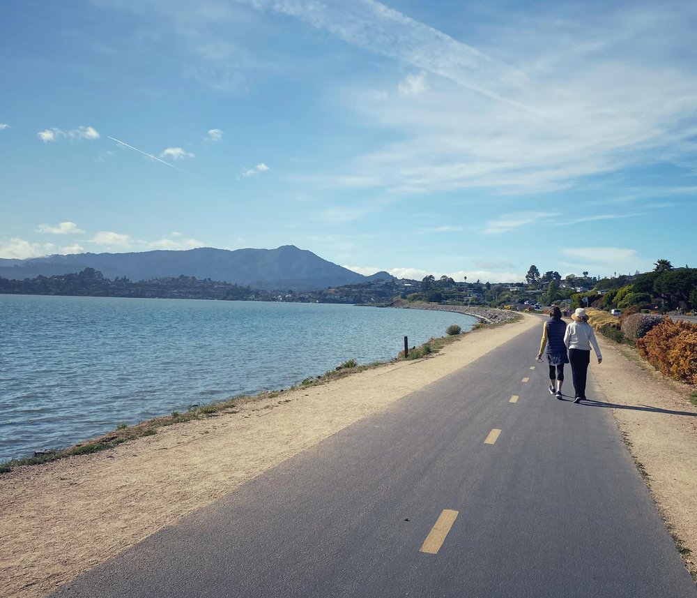  Rail trail: Tiburon was formerly the southern terminus of the San Francisco and North Pacific Railroad. The former railroad grade now forms part of the San Francisco Bay Trail. 