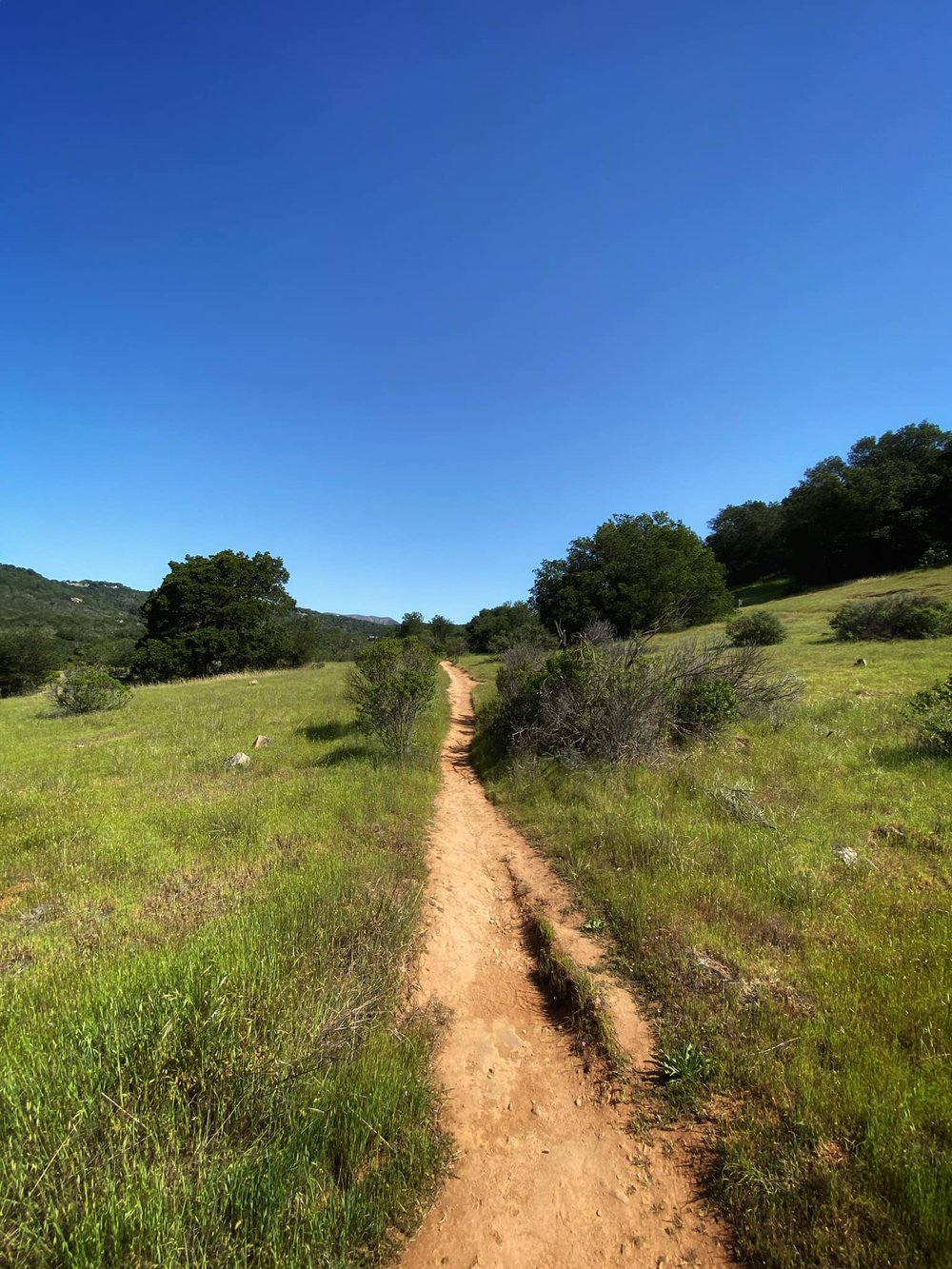  On the Sonoma Overlook Trail. 