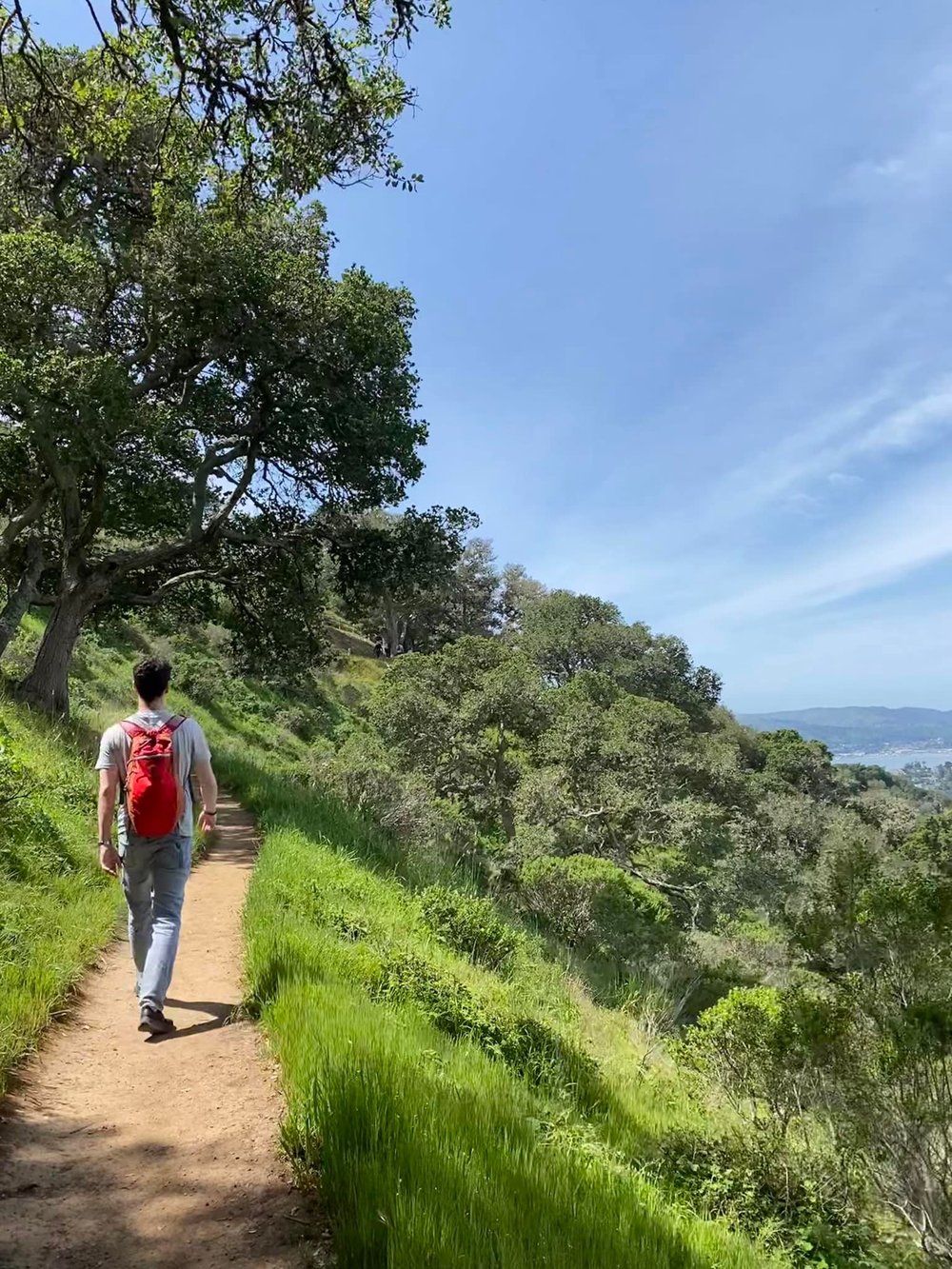  Great hike up Mount Livermore, highest point on the island. 