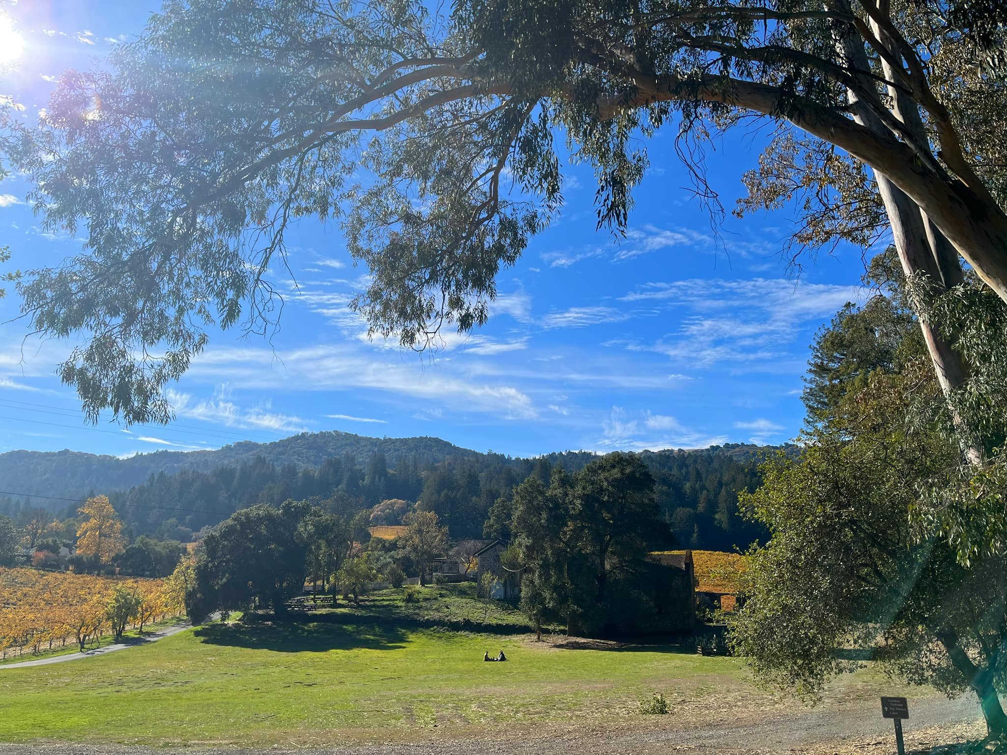  At Beauty Ranch, London farmed by managing natural resources and stewarding the land for the future. He employed practices like rotating crops, terracing, and using natural fertilizer. 