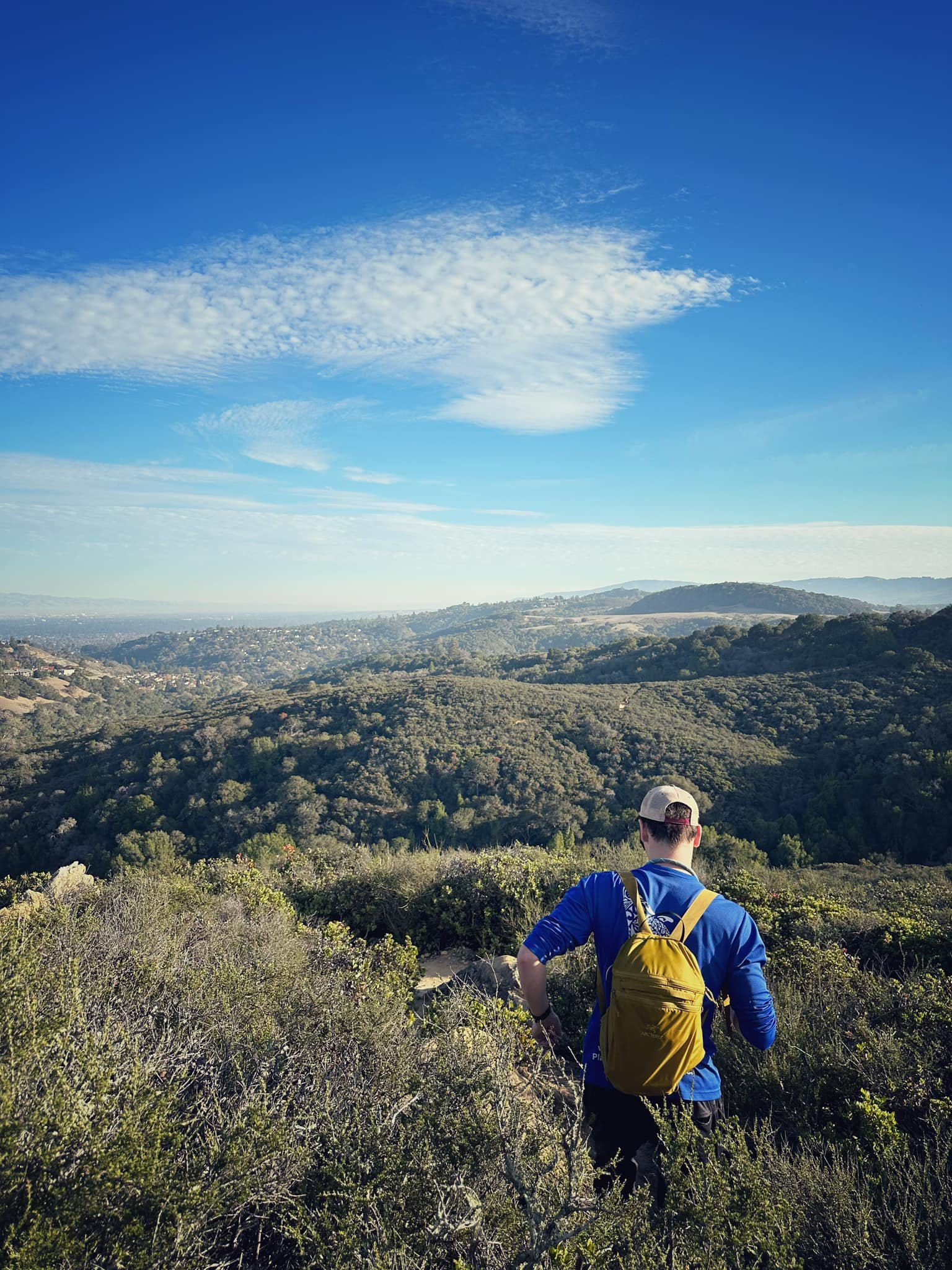  These open natural spaces are not only good for the planet but vital to human health and well-being. 