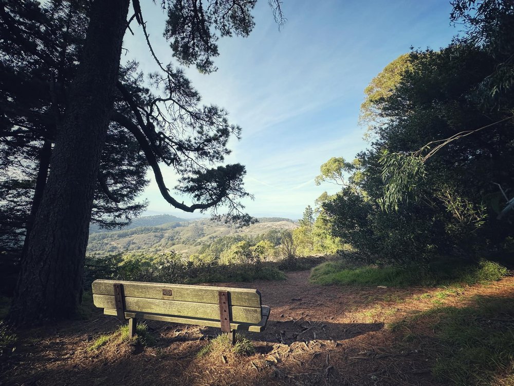  Fresh air, great views, thanks Nadia! Tilden Park, Berkeley. 