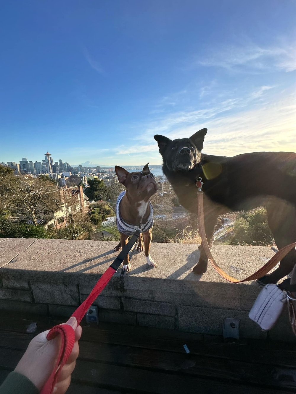  Oscar and Puck at Kerry Point. 