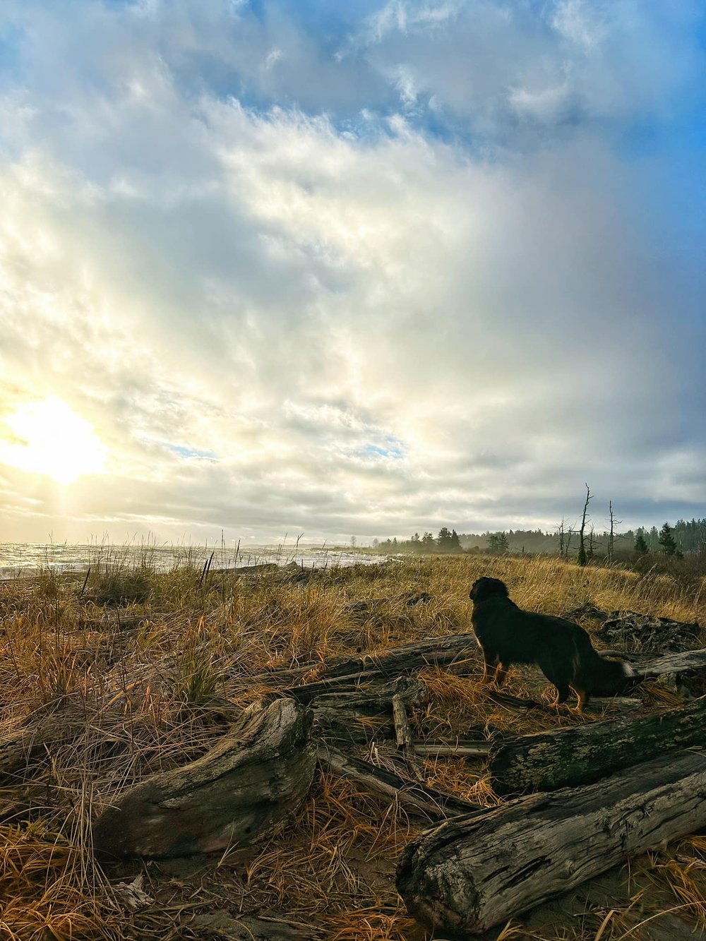  Hudson surveys the scene. 