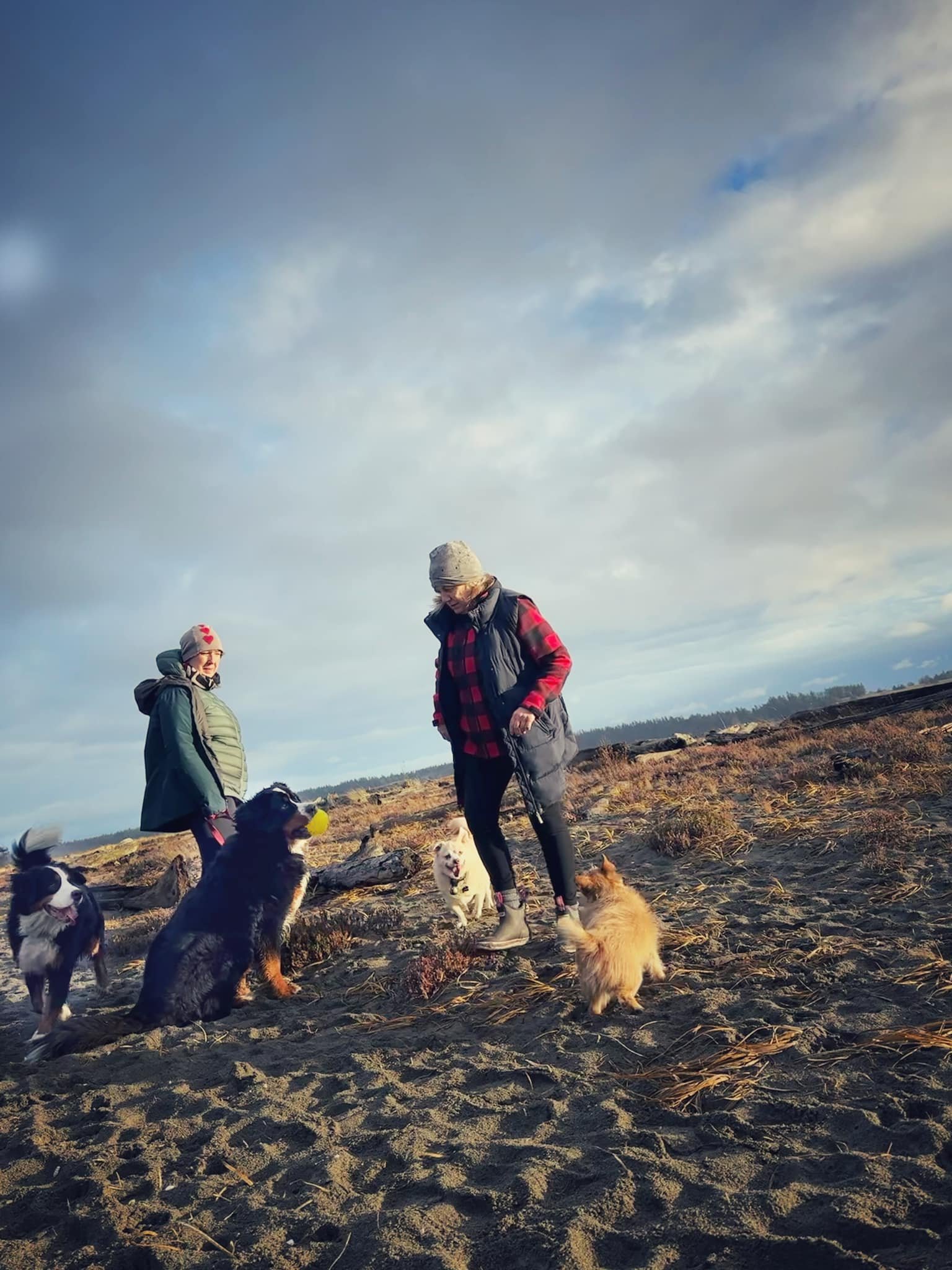  Deirdre and Marie, each with their duo of dogs. 