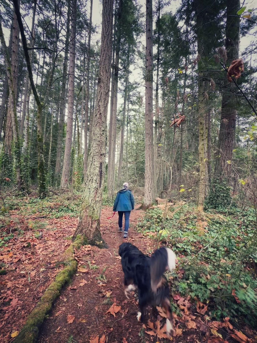  Into the woods with Deirdre and Jackson. Elk/Beaver Lake, Victoria, BC. 